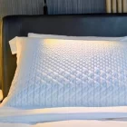 Oreiller Québécoise dream